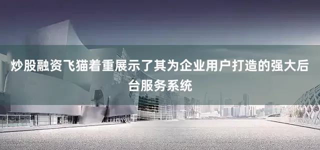 炒股融资飞猫着重展示了其为企业用户打造的强大后台服务系统
