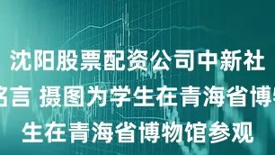 沈阳股票配资公司中新社记者 马铭言 摄图为学生在青海省博物馆参观