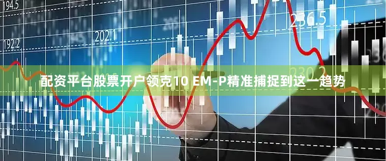 配资平台股票开户领克10 EM-P精准捕捉到这一趋势