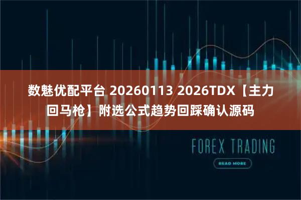 数魅优配平台 20260113 2026TDX【主力回马枪】附选公式趋势回踩确认源码