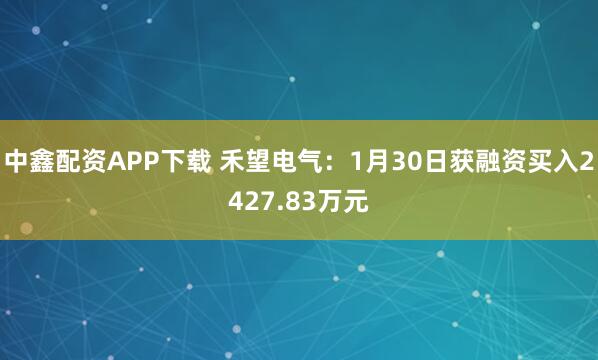 中鑫配资APP下载 禾望电气：1月30日获融资买入2427.83万元